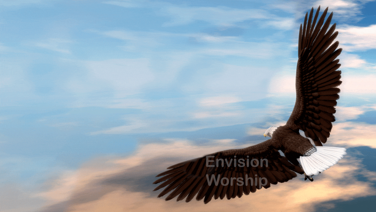 Eagle's wings worship slides - gorgeous