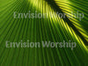 Palm Sunday PowerPoint presentation template slides for Palm Sunday worship service