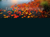 Autumn, Fall Leaves, Sunset, Mountain Lake Church PowerPoint Presentation slides for worship