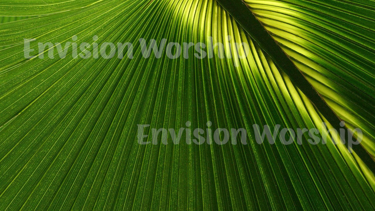 Palm Sunday church PowerPoint presentation template slides for Palm Sunday worship service