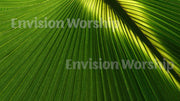 Palm Sunday church PowerPoint presentation template slides for Palm Sunday worship service