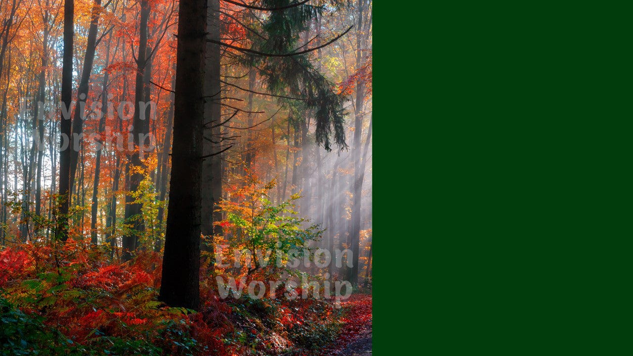 Fall Leaves worship slides