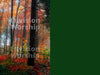 Fall leaves PowerPoint
