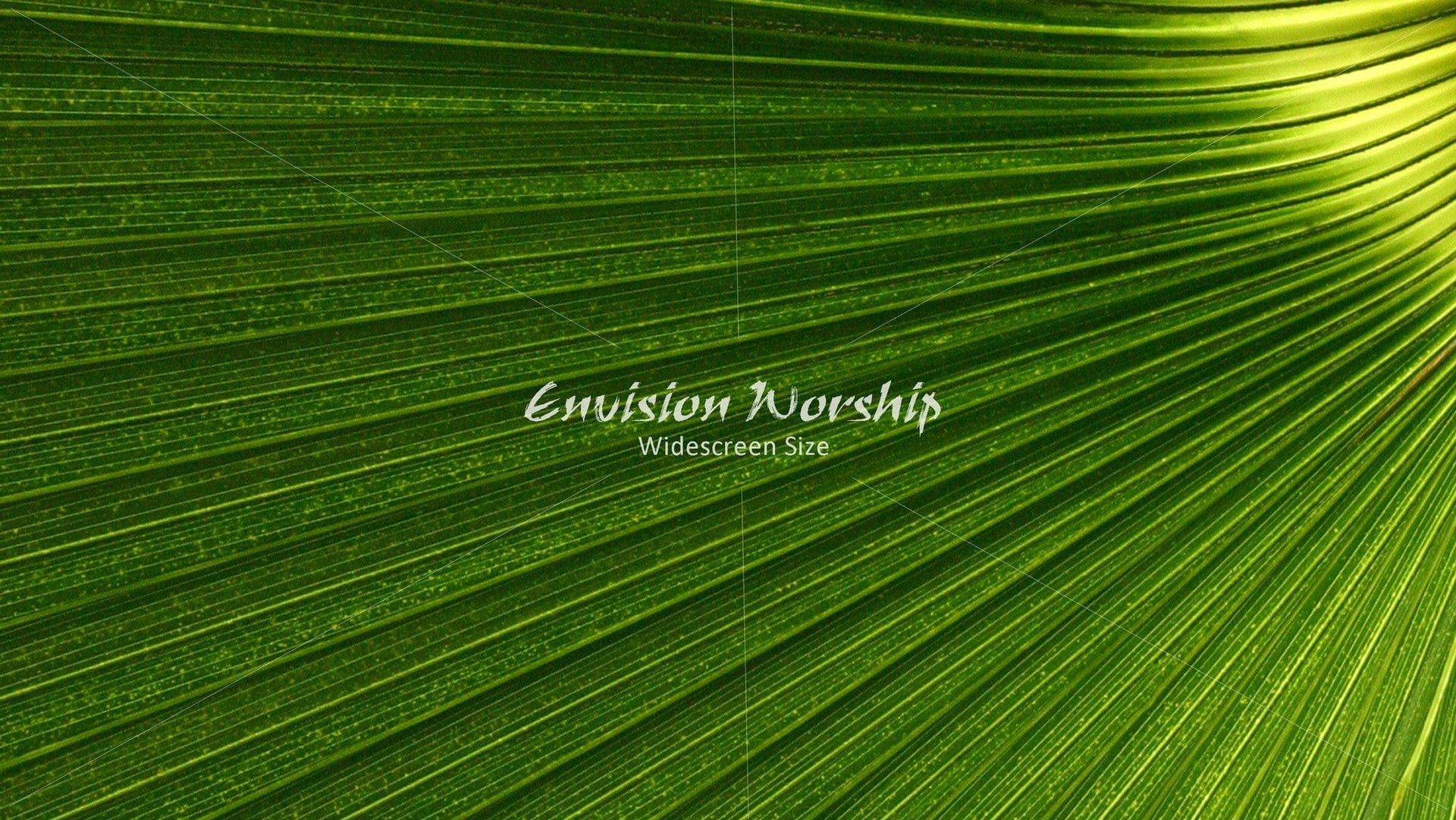 Palm Sunday  palm frond worships slides  and Palm Sunday Christian background.