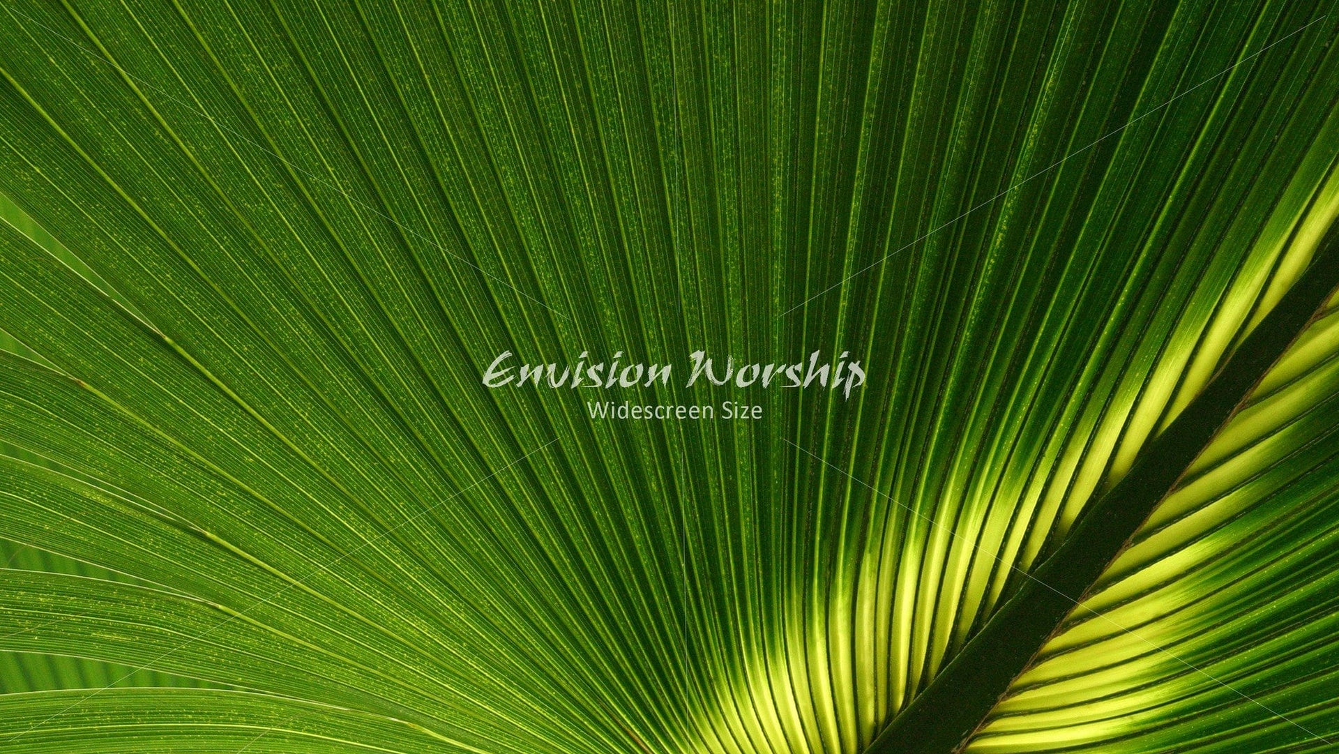 Stunning Palm Sunday Christian background, Palm Sunday worship slides, Palm Sunday PowerPoint