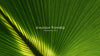 Palm Sunday Christian background