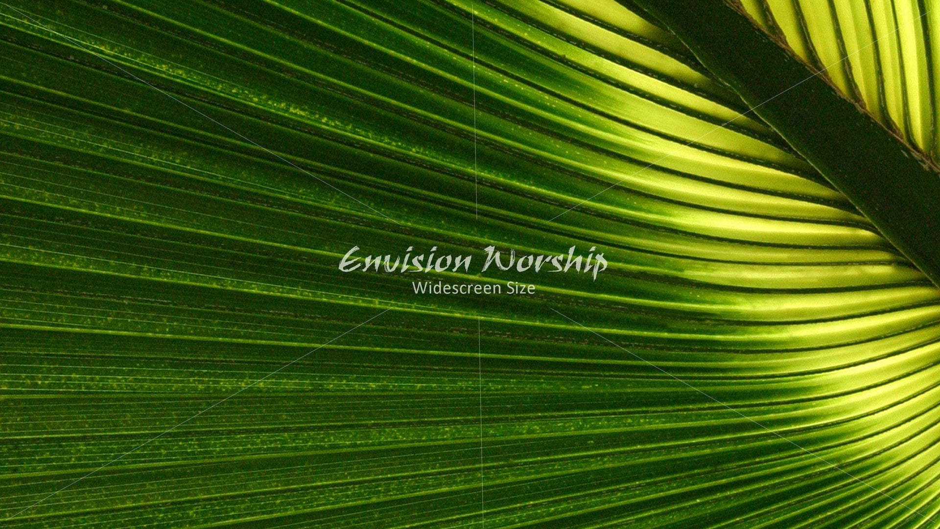 Hosanna Palm Sunday church slide with lots of room for lyrics and Bible verses.