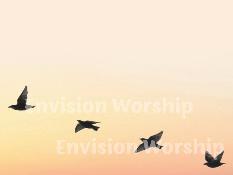 Dove Christian Worship PowerPoint Slide for worship