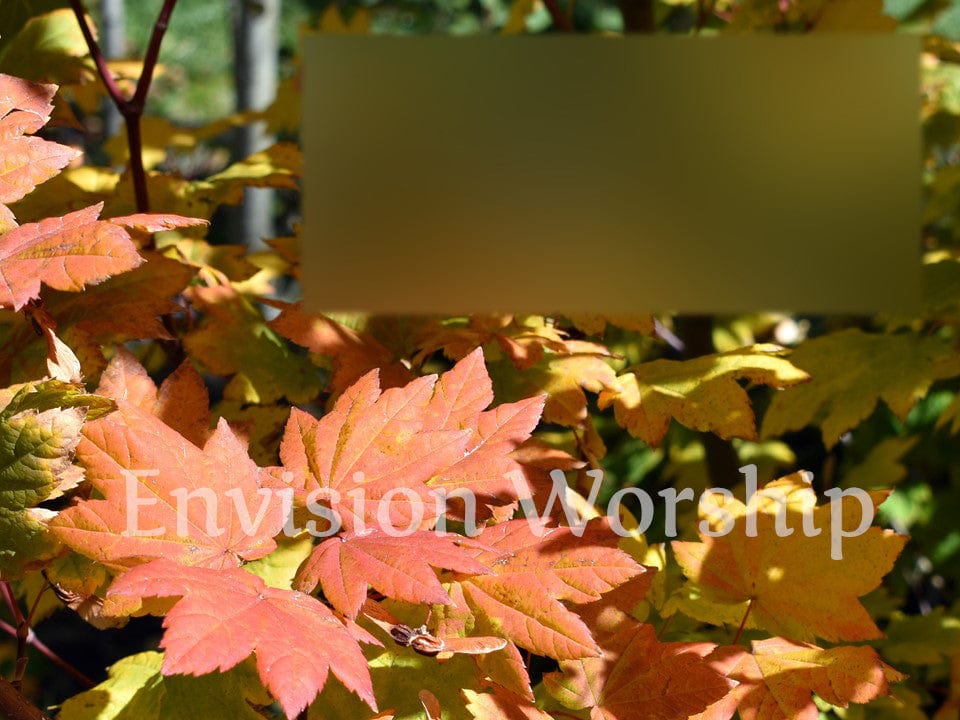 Stunning Fall Colors Church PowerPoint slide