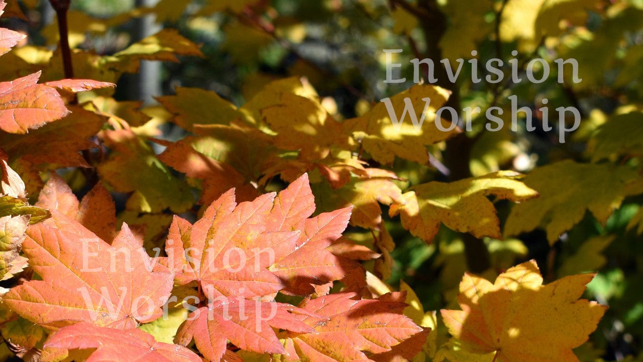 Fall colors Christian background