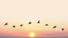 Flying doves at Dawn Church PowerPoint Slide