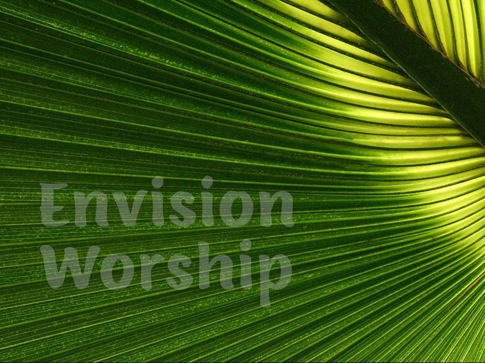 Palm Sunday slides