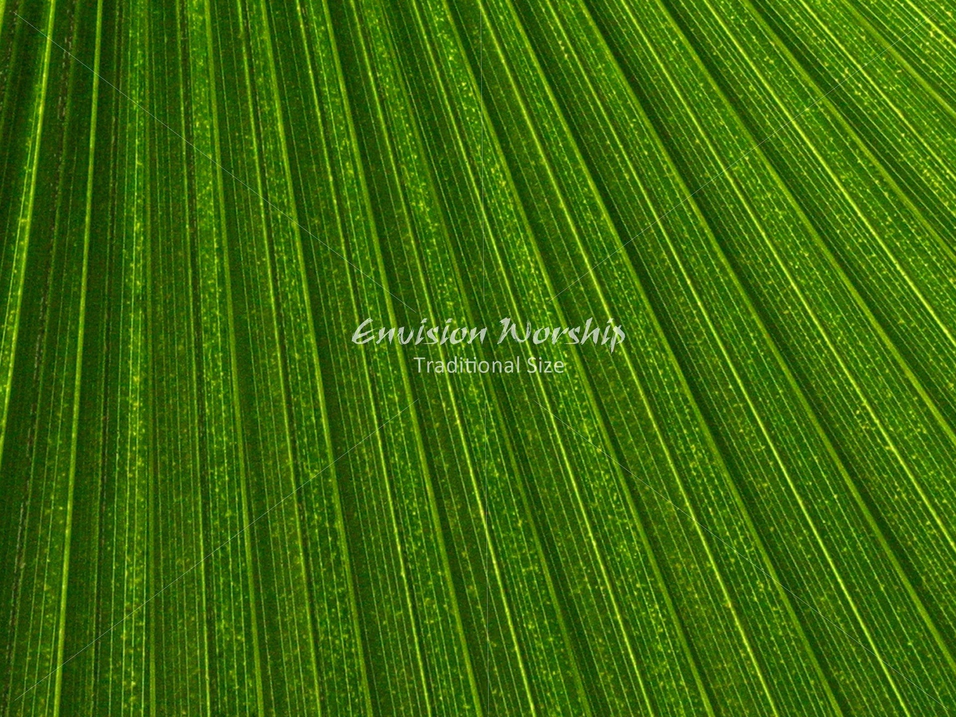 Palm Sunday Christian background with lots of room for lyrics and Bible verses.