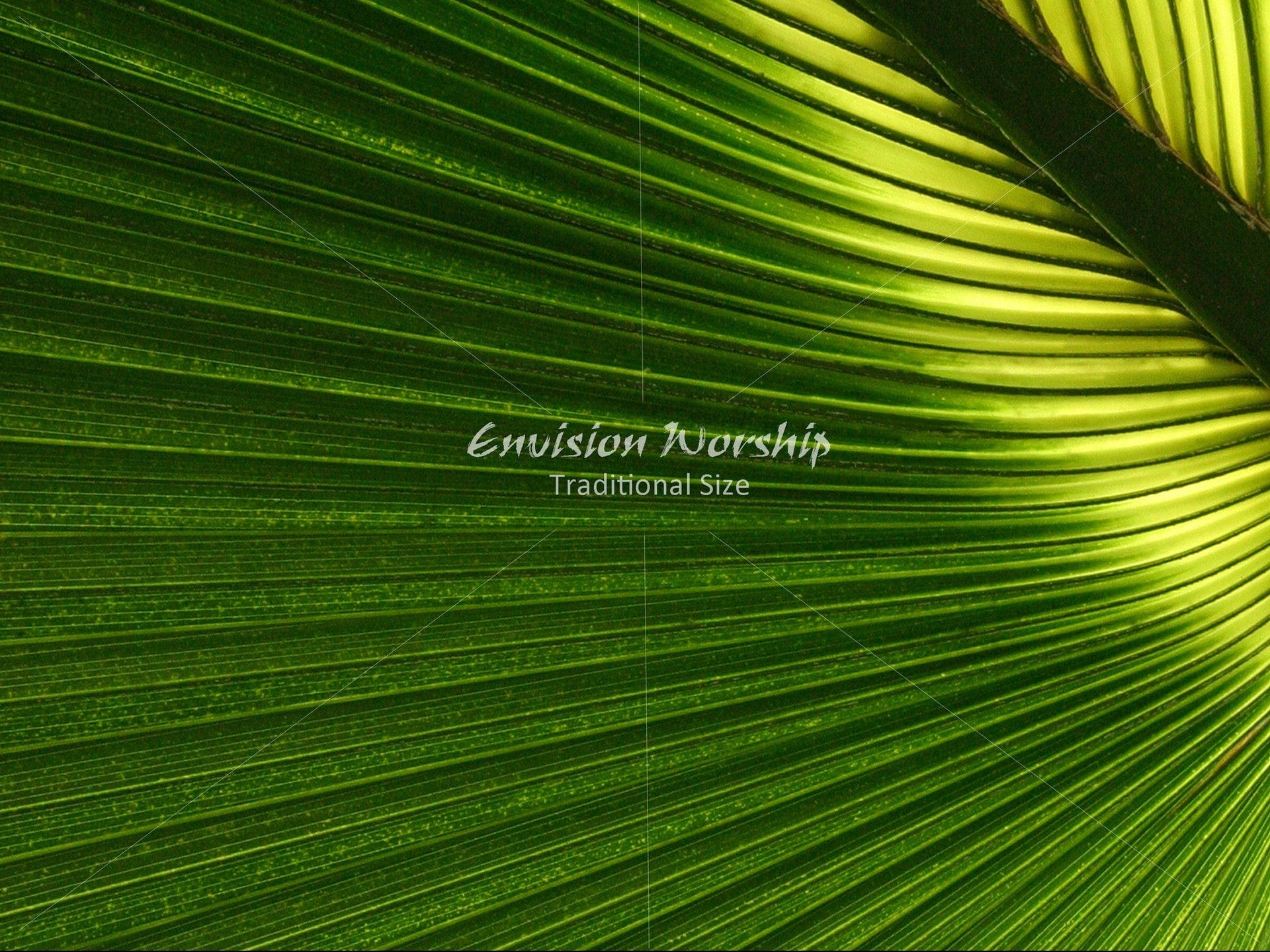 Palm Sunday church slide, Palm Sunday Christian background with lots of room for text.