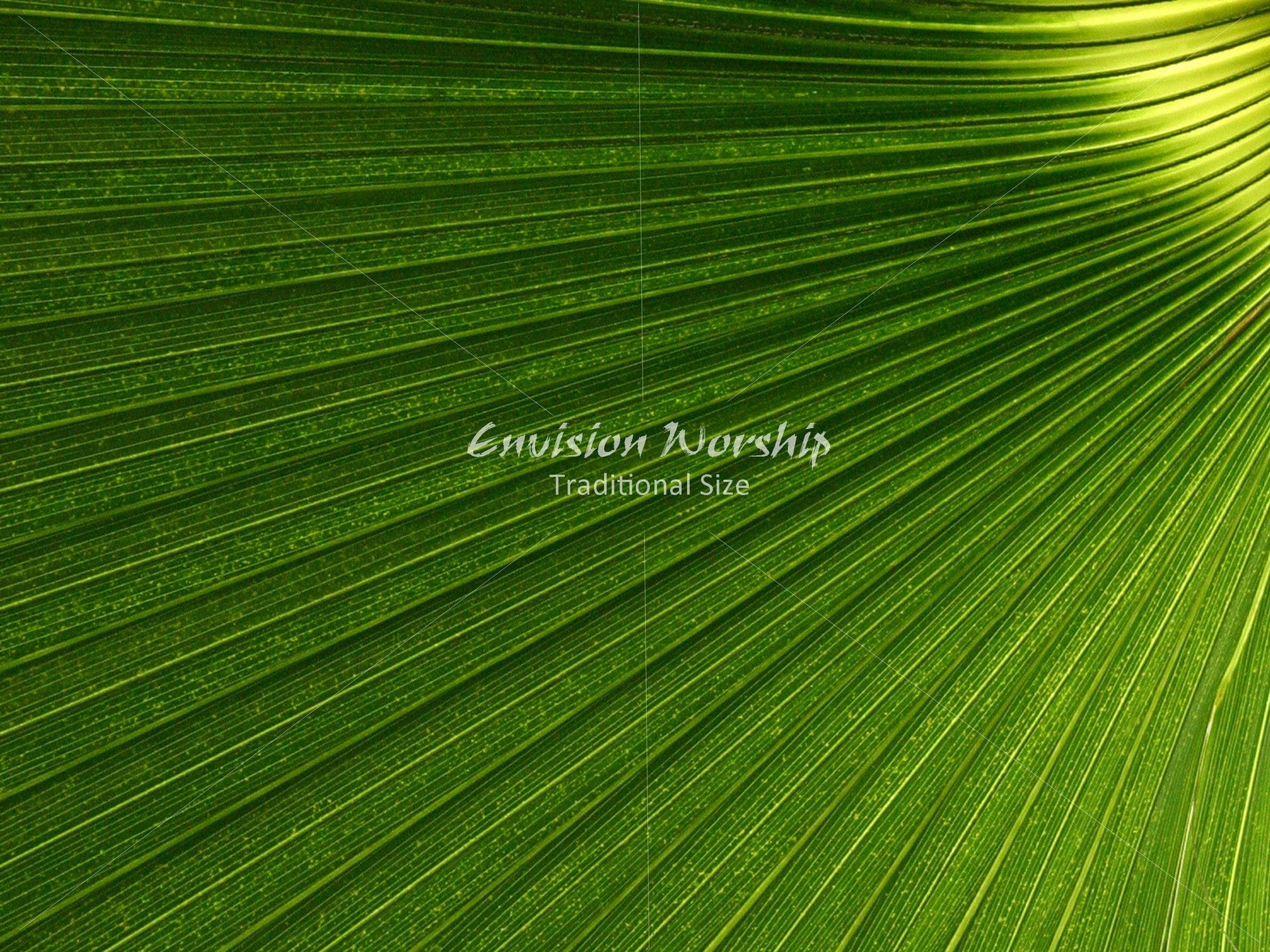 Palm Sunday church slide and Palm Sunday Christian background