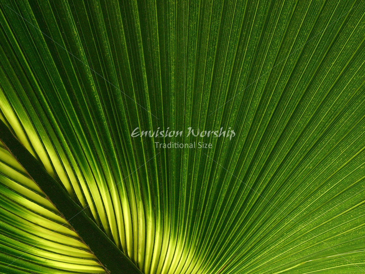 Palm Sunday Church PowerPoint Slide