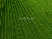Palm Sunday Christian background with lots of room for lyrics and Bible verses.
