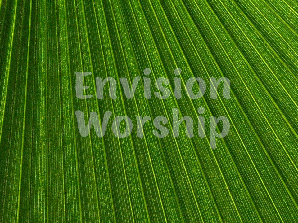 Palm fronds slides www.EnvisionWorship.com