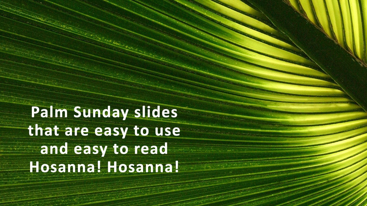 Palm Sunday Christian background