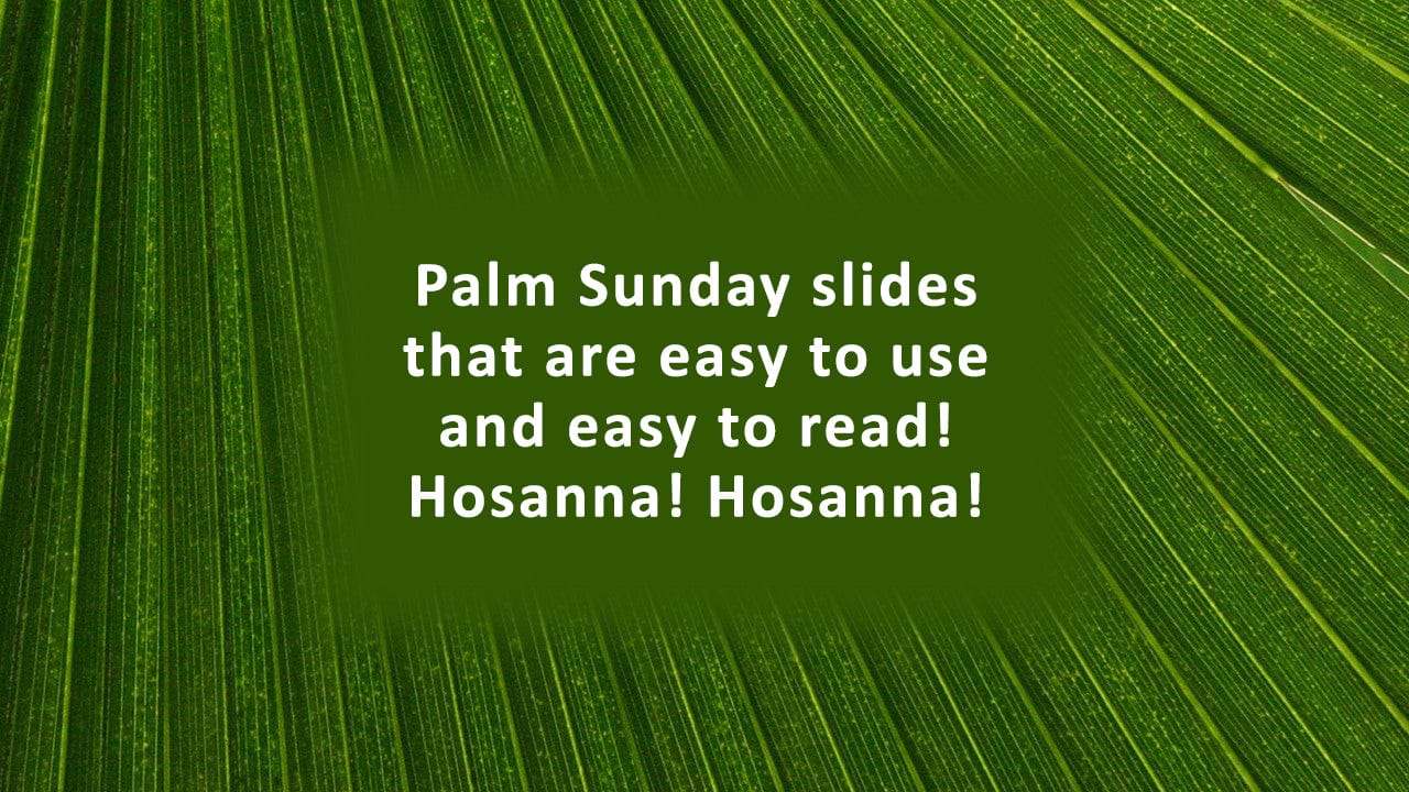 Palm Frond Christian Background www.EnvisionWorship.com
