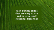 Palm Frond Christian Background www.EnvisionWorship.com