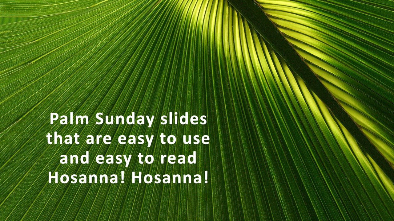 Palm Sunday Christian background