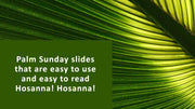 Palm Sunday Christian background