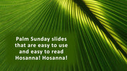 Palm Sunday Christian background