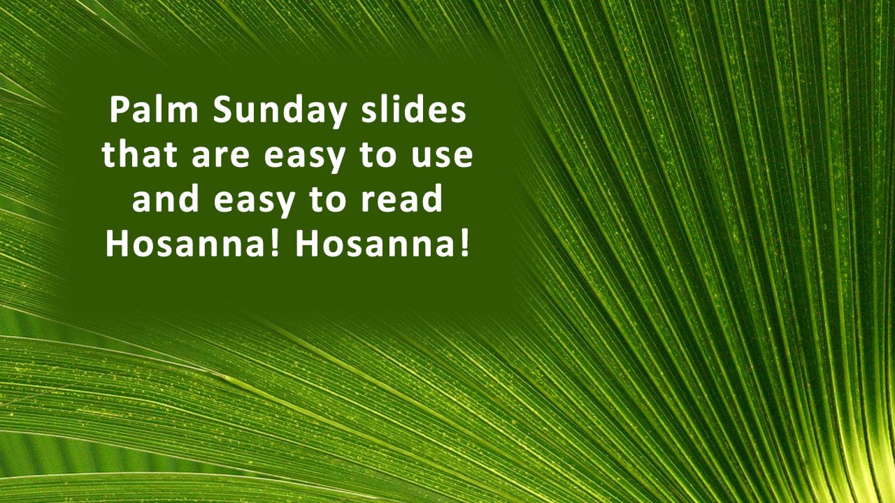 Palm Fronds church slides