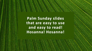 Palm frond church PowerPoint