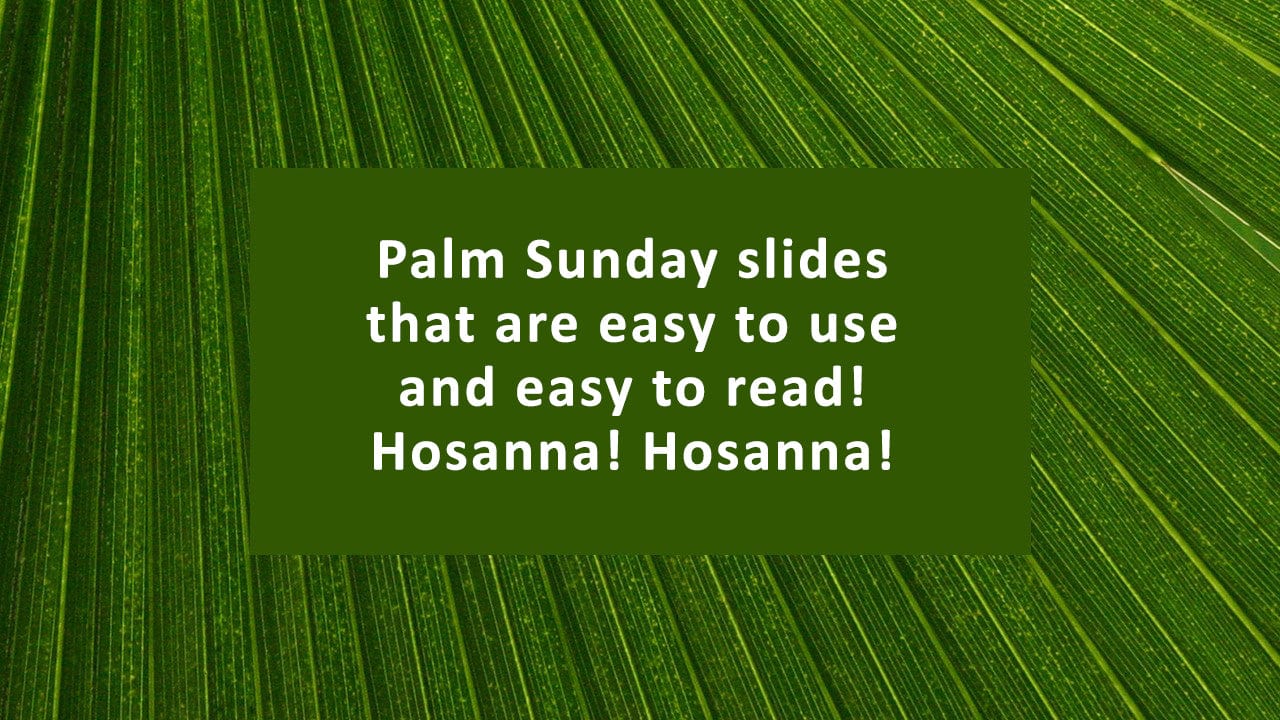 Palm frond church PowerPoint