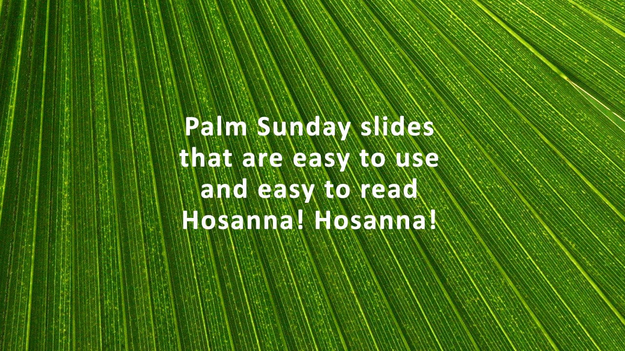 Palm frond church PowerPoint