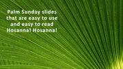 Palm frond Christian background