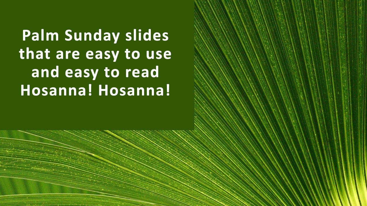 Palm frond worship slide