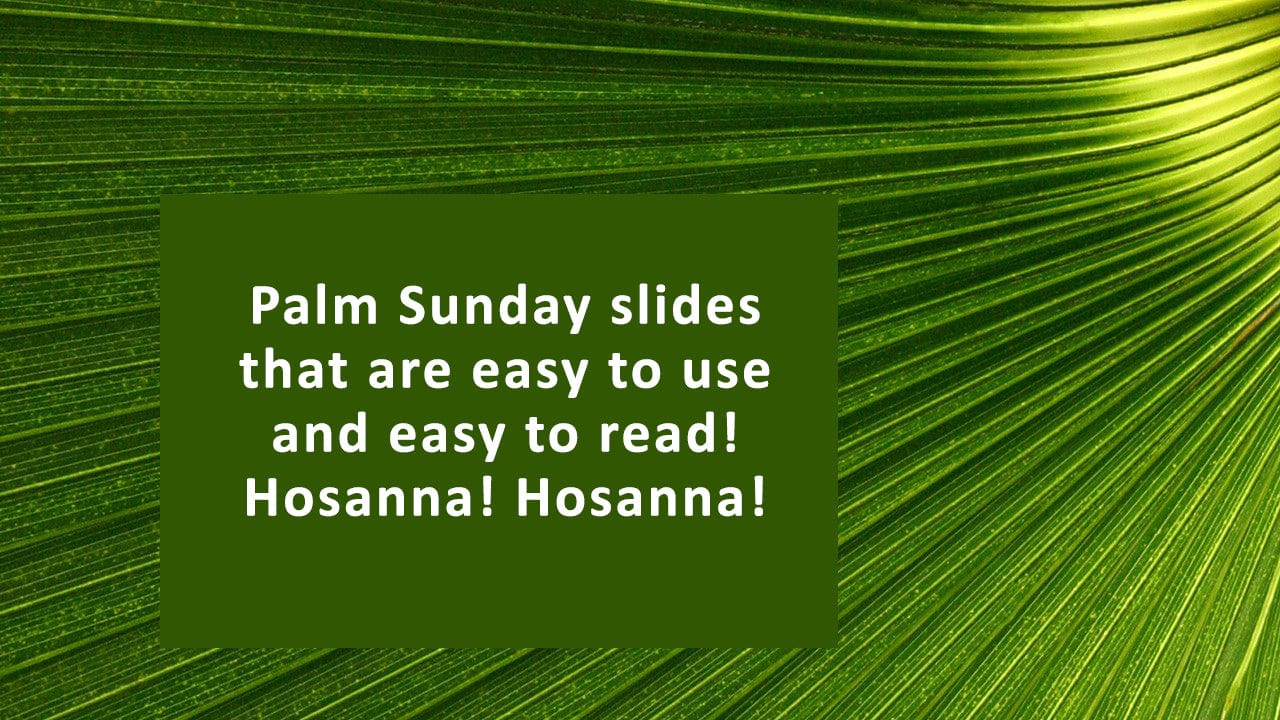 Palm frond worship slide