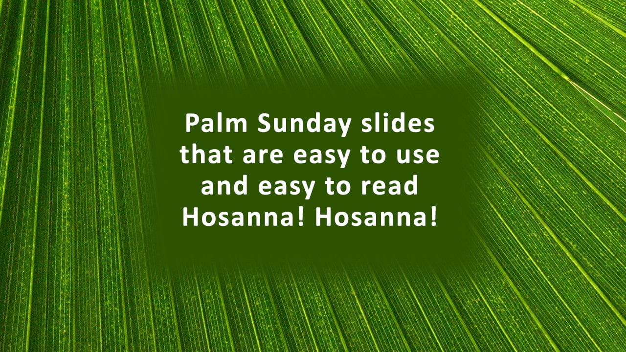 Palm frond church slides