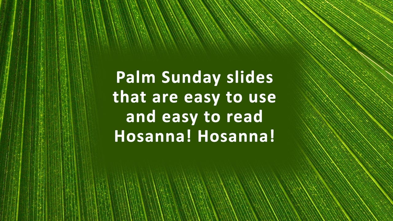 Palm frond worship slide