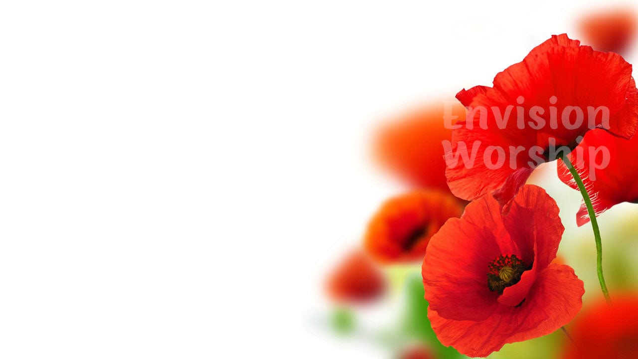 Remembrance Day Poppies Christian Background Church PowerPoint Slides