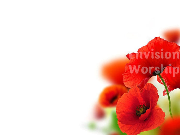 Remembrance Day Poppies Christian Background Church PowerPoint Slides