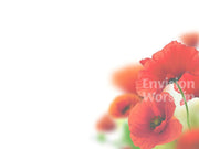Remembrance Day Poppies Worship PowerPoint Presentation Slides