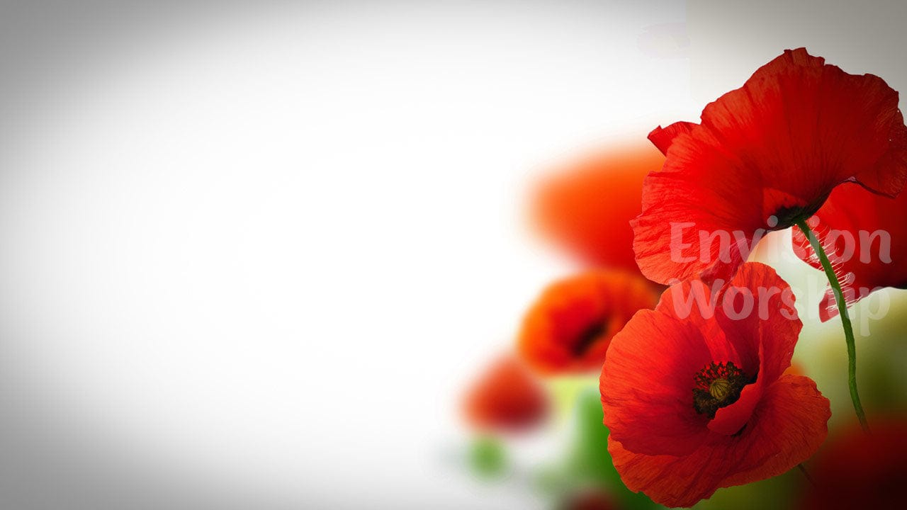 Australian Remembrance Day Poppies Worship Church PowerPoint Presentation Slides