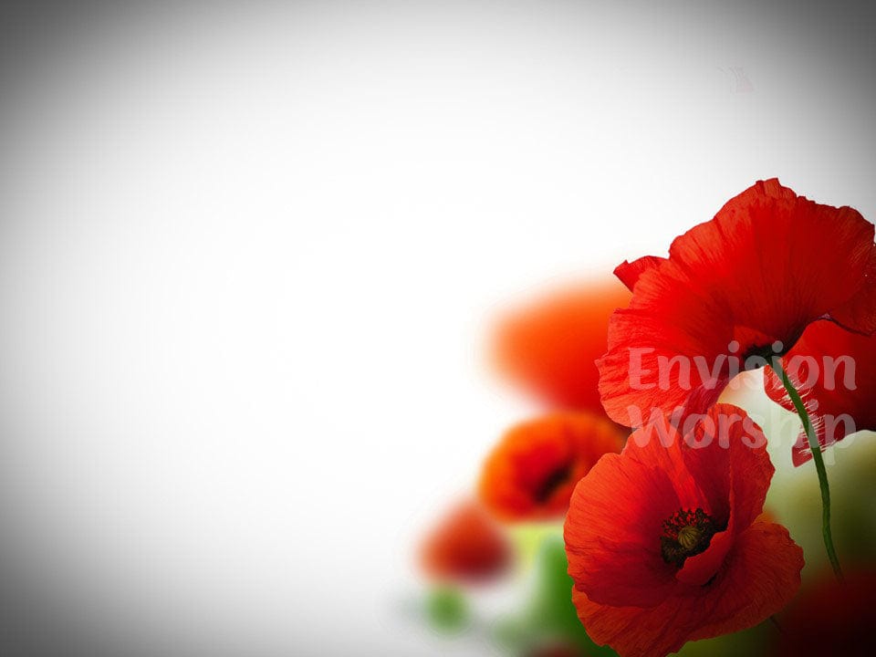 Remembrance Day Poppies Christian PowerPoint Presentation Slides