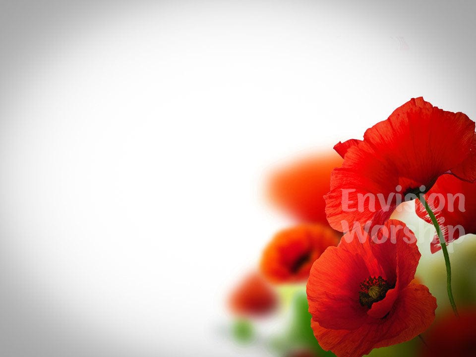 U.K. Remembrance Day Poppies Church PowerPoint Presentation Slides