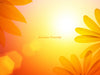 Summer, Spring and Sunflower powerpoint, background and slide