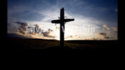 The Old Rugged Cross 