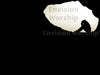 Church Presentation slides for worship