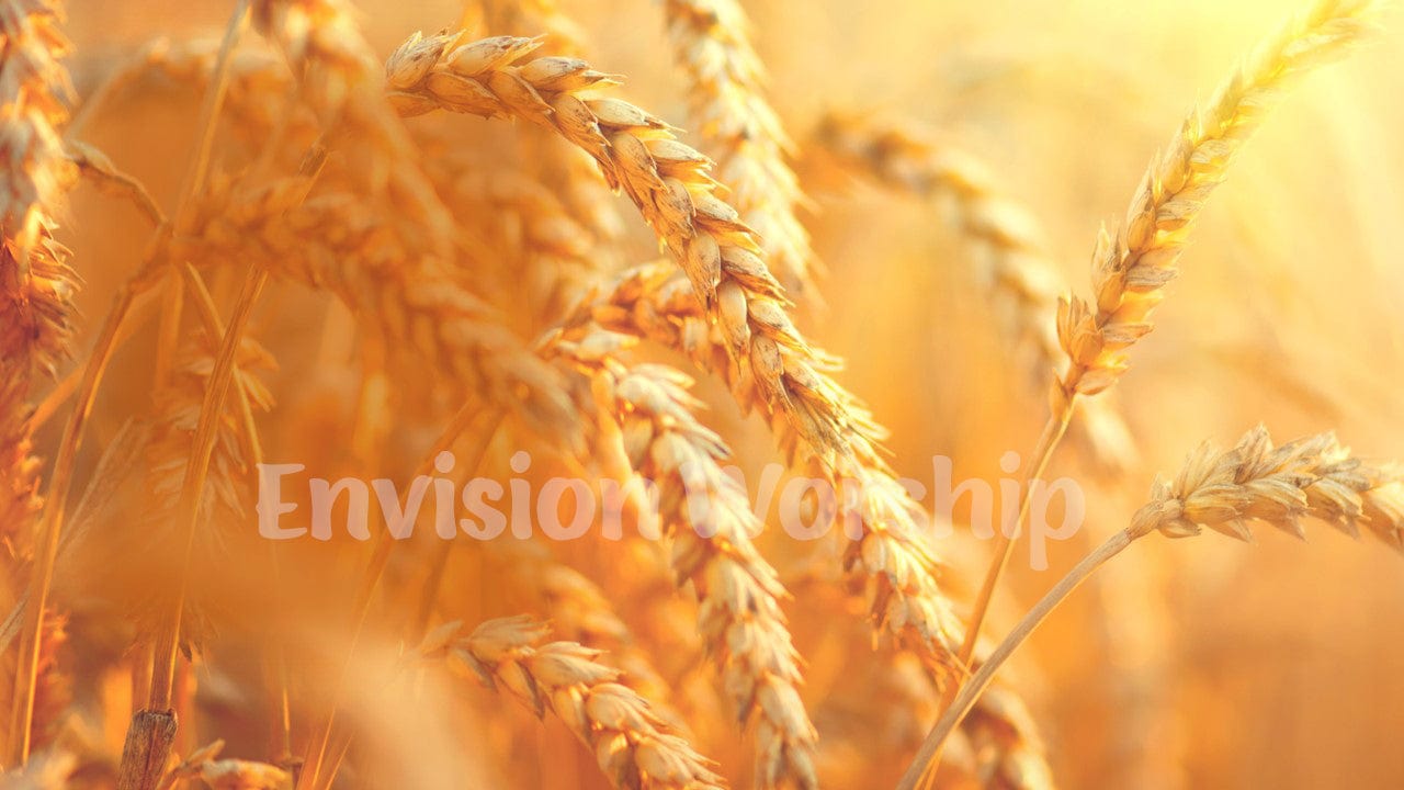 Harvest worship PowerPoint